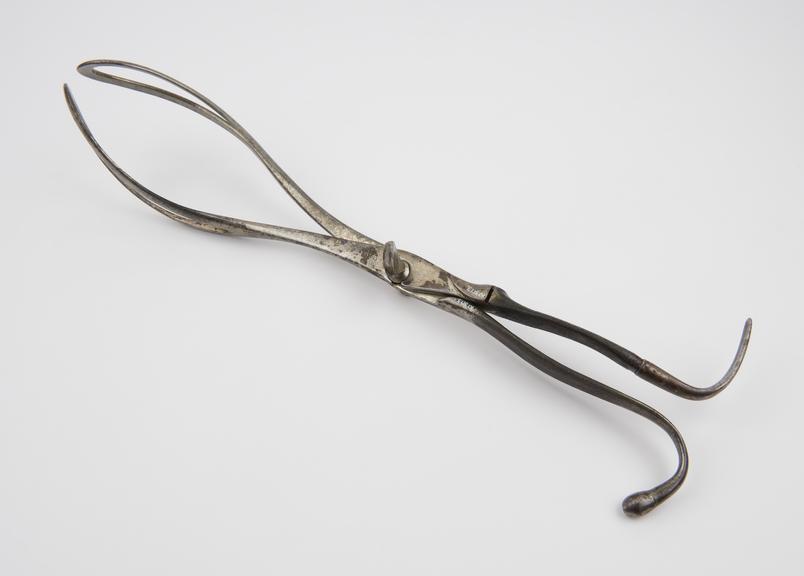 Forceps, obstetrical, Tarsitari, steel, by Gallo of Naples