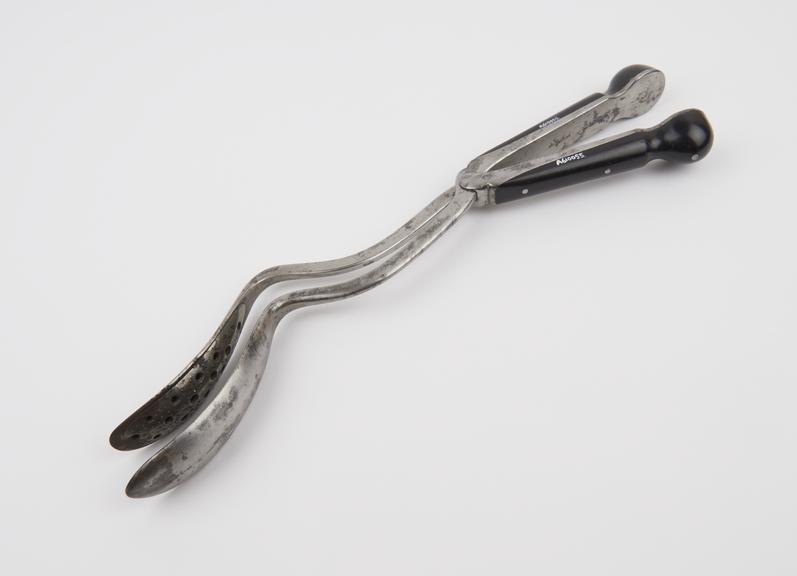 Forceps, craniotomy, steel and wood, by Botschan, Botschan