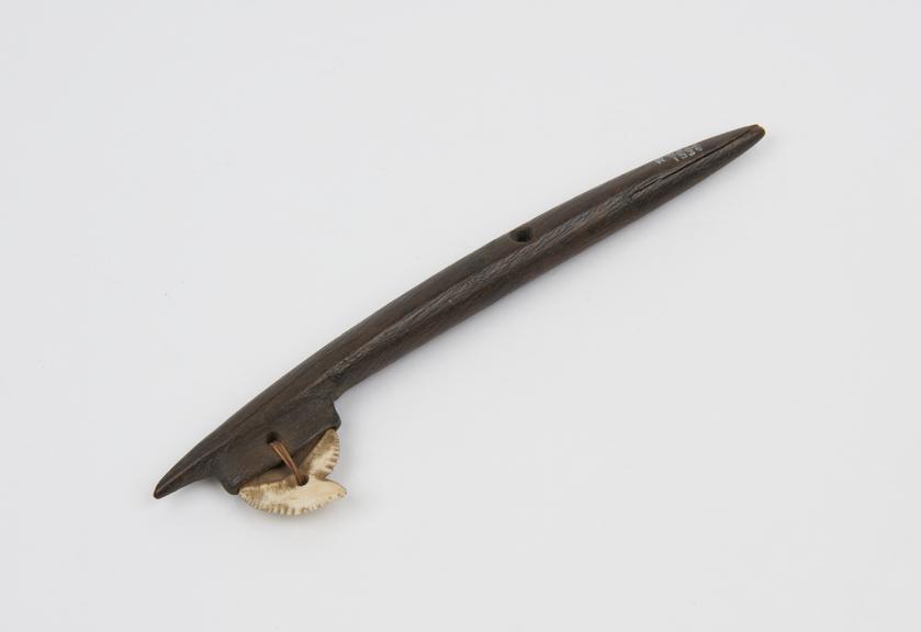 Lancet or fish hook with shark's tooth point hafted on to wooden handle (lancets)