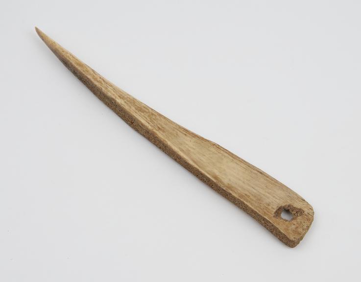 Surgical instrument, made of turtle bone, pointed