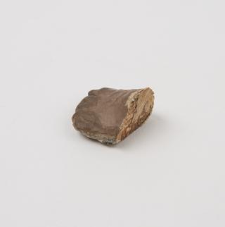 Fragment from Carving