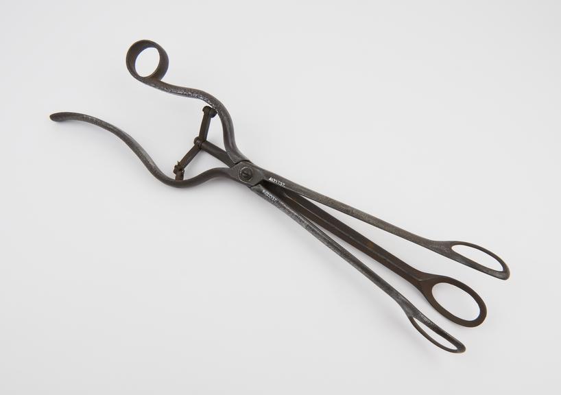 Ovum forceps, triple bladed, by Francis Cluley, Sheffield