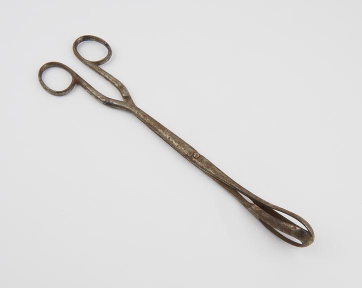 Greenhalgh's ovum forceps, corroded, British(?), 1901-1930