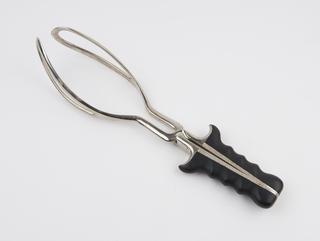 Greenhalgh's ovum forceps