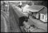 Sellick Photograph Collection
