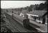 Sellick Photograph Collection