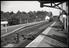 Sellick Photograph Collection