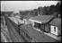 Sellick Photograph Collection