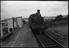 Sellick Photograph Collection