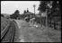 Sellick Photograph Collection