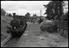Sellick Photograph Collection