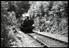 Sellick Photograph Collection