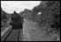 Sellick Photograph Collection