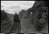 Sellick Photograph Collection