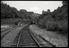 Sellick Photograph Collection