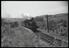 Sellick Photograph Collection