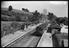 Sellick Photograph Collection