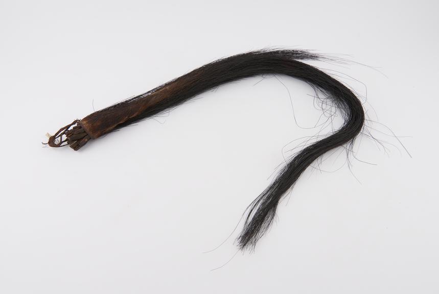 Flywhisk made from part of an animal's tail