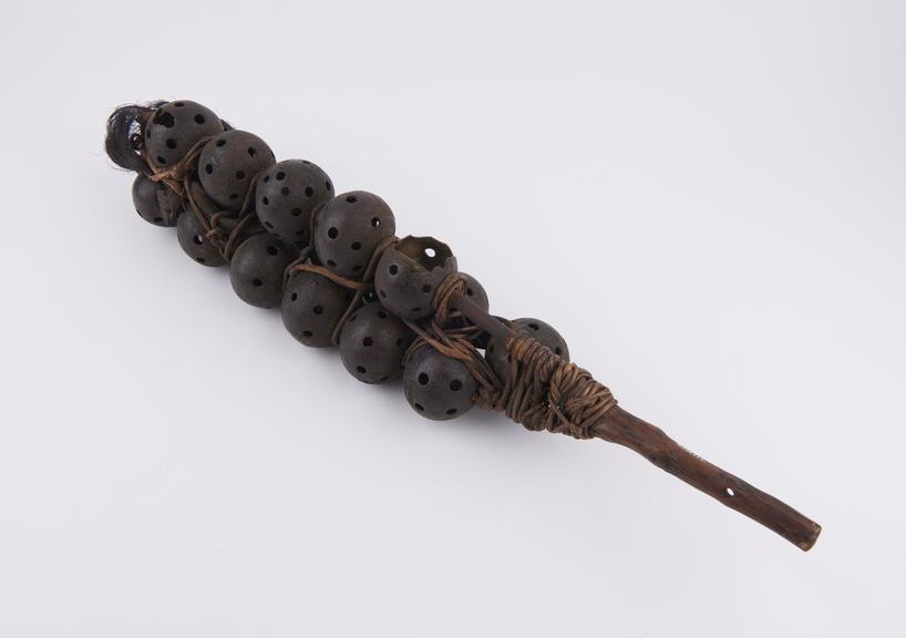 Seedshell rattle consisting of forked branch with rows of