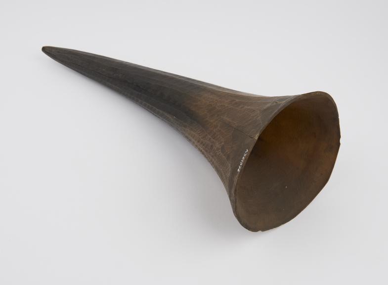 Horn, probably rhinoceros