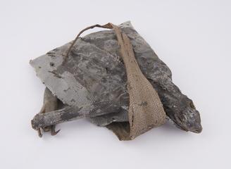 Dried skin of lizard, folded