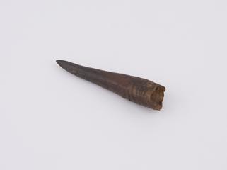One straight Antelope horn