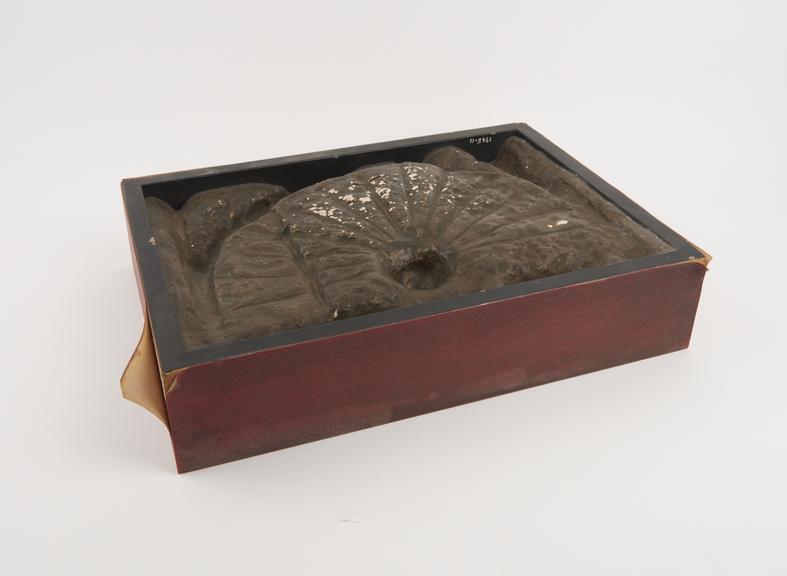 Plaster cast (mounted in wooden frame) of the sundial on