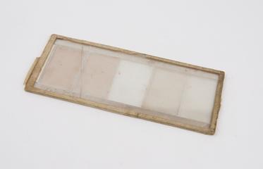 Specimen slides for Polarizing Kaleidoscope