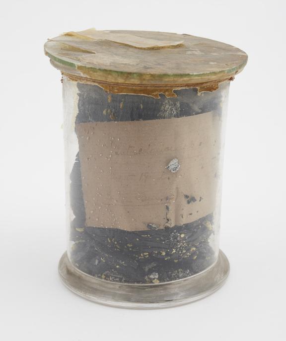 Coal from the Inter-colonial Company's Colliery | Science Museum Group ...