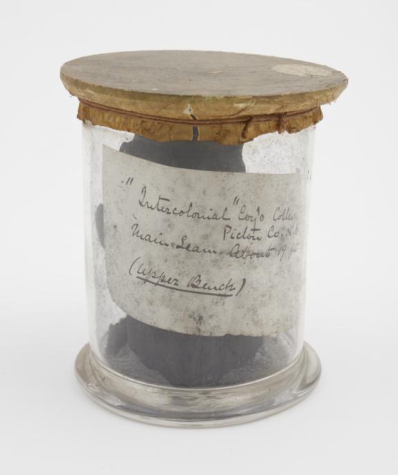 Coal from the Inter-colonial Company's Colliery | Science Museum Group ...