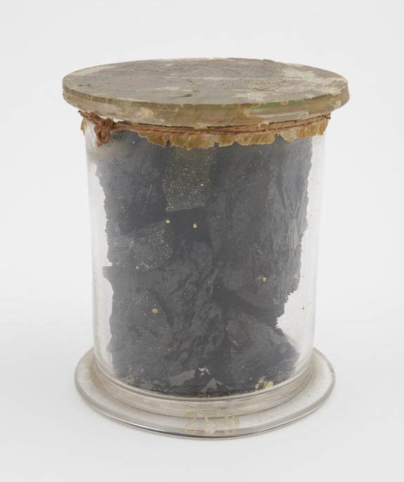 Coal from the Island of Formosa, presented by the Admiralty