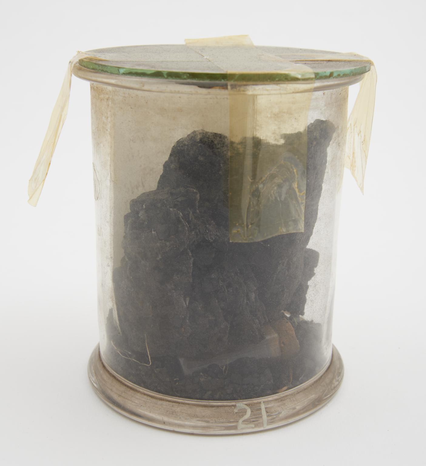 Lignite from Desolation Island, Indian Ocean | Science Museum Group ...