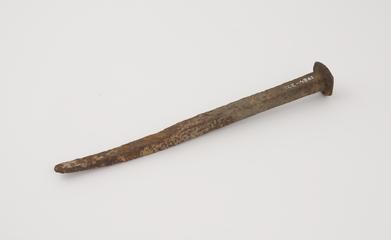 Nail used in building