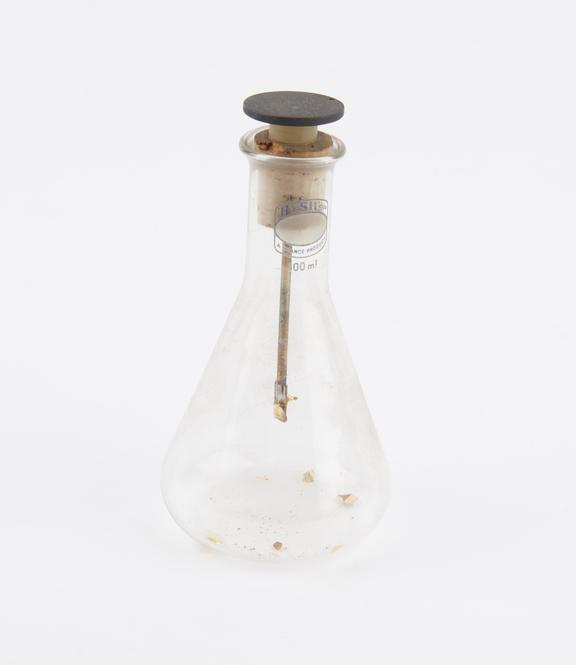 Gold-leaf electroscope in conical flask