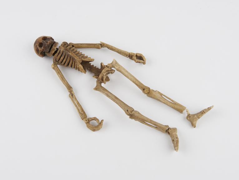 Bone model of a skeleton, somewhat stylised, articulated