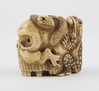Model of stylised human skull - memento mori