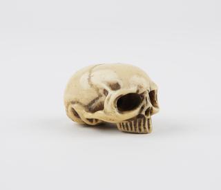 Miniature skull