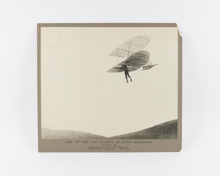 Photographic print - One of last flights of Otto Lilienthal