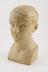 Stained plaster phrenological bust by James DeVille (1777-1846)