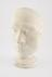 Plaster phrenological head of unidentified male, 19th century.