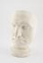 Plaster phrenological head, possibly of John James Audubon