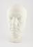 Plaster phrenological head