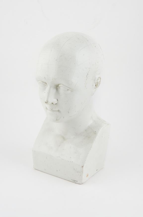 Earthenware phrenological bust