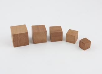 Five wooden blocks of differing sizes