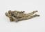 Brass betel nut cutters, steel blade, anthropomorphic, Indian