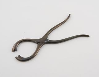 Lion forceps