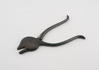 MOdel of tiger forceps