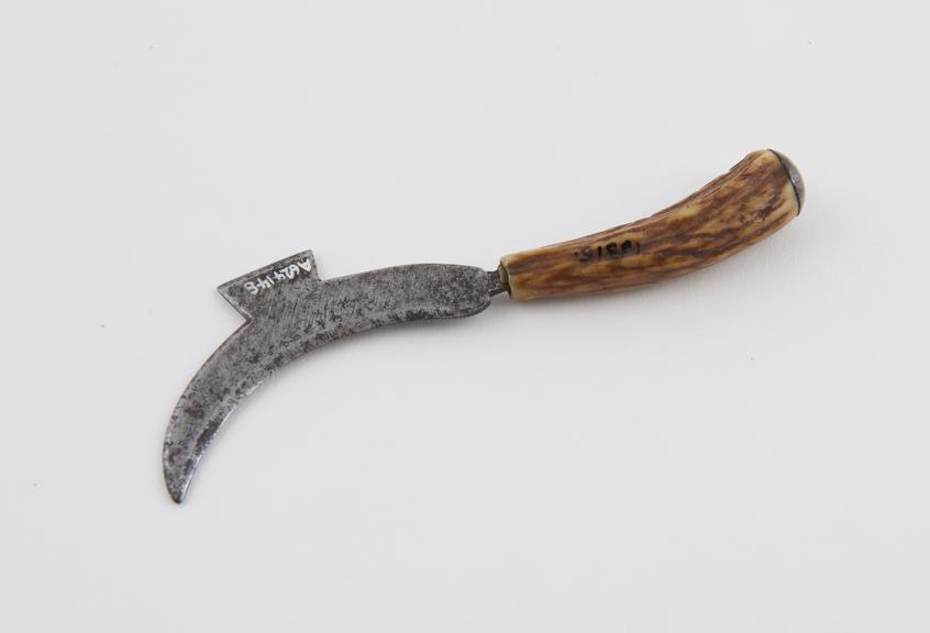 Curved circumcision(?) knife, steel, with horn handle, 1850-1930