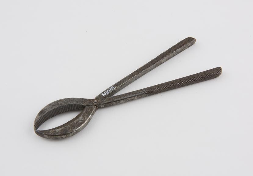 Bear forceps, steel, Indian, 1801-1930