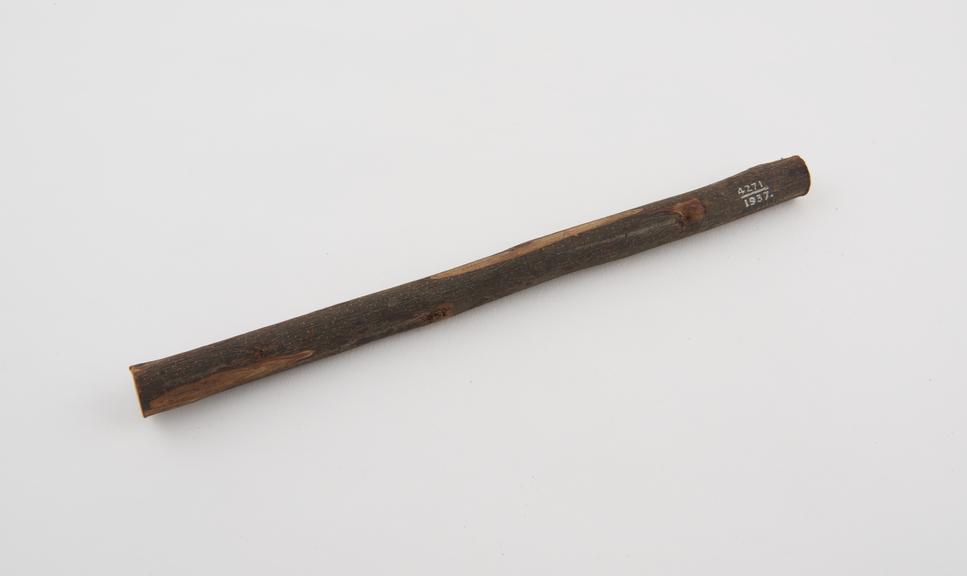 Datoon toothbrush made from twig, Calcutta bazaar, Calcutta